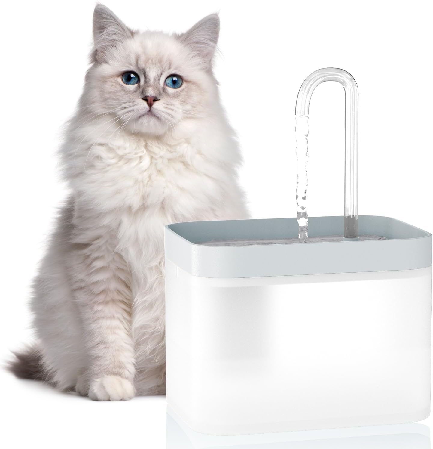Fuente de Agua para Gatos Barata y Silenciosa