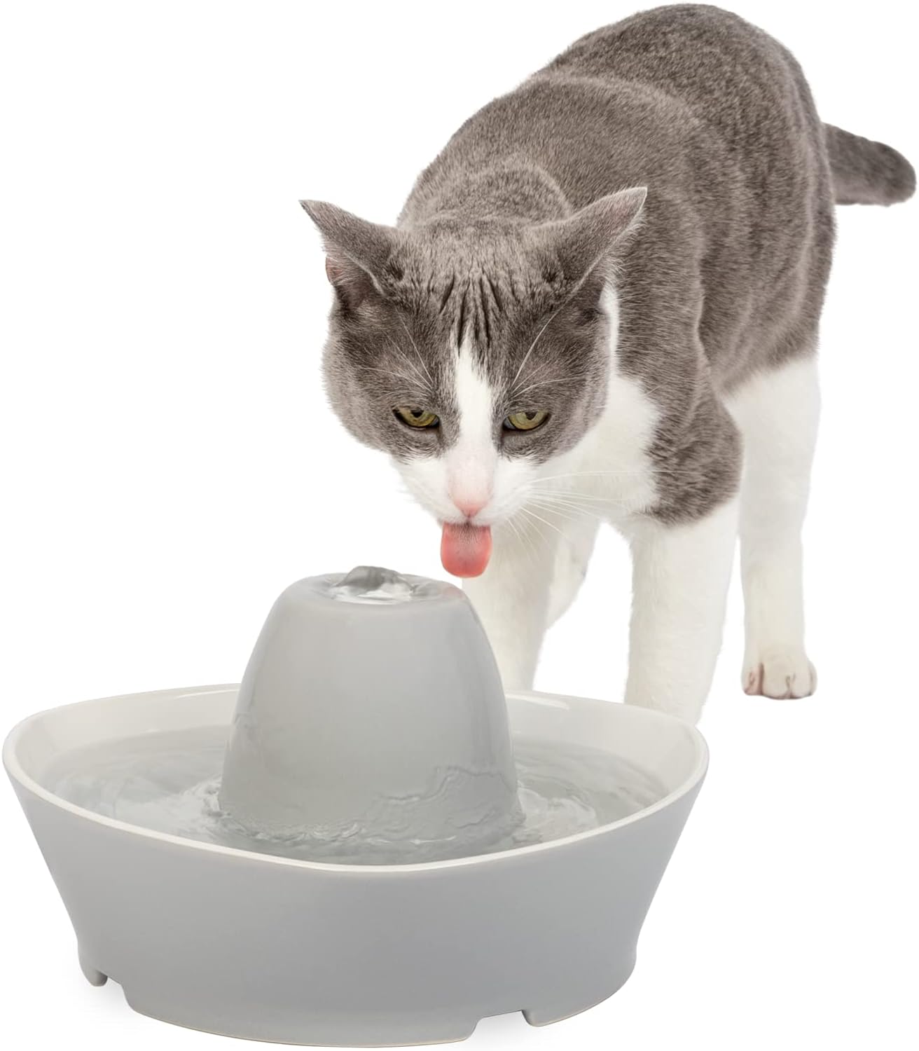 Análisis de la Fuente de Cerámica PetSafe StreamSide