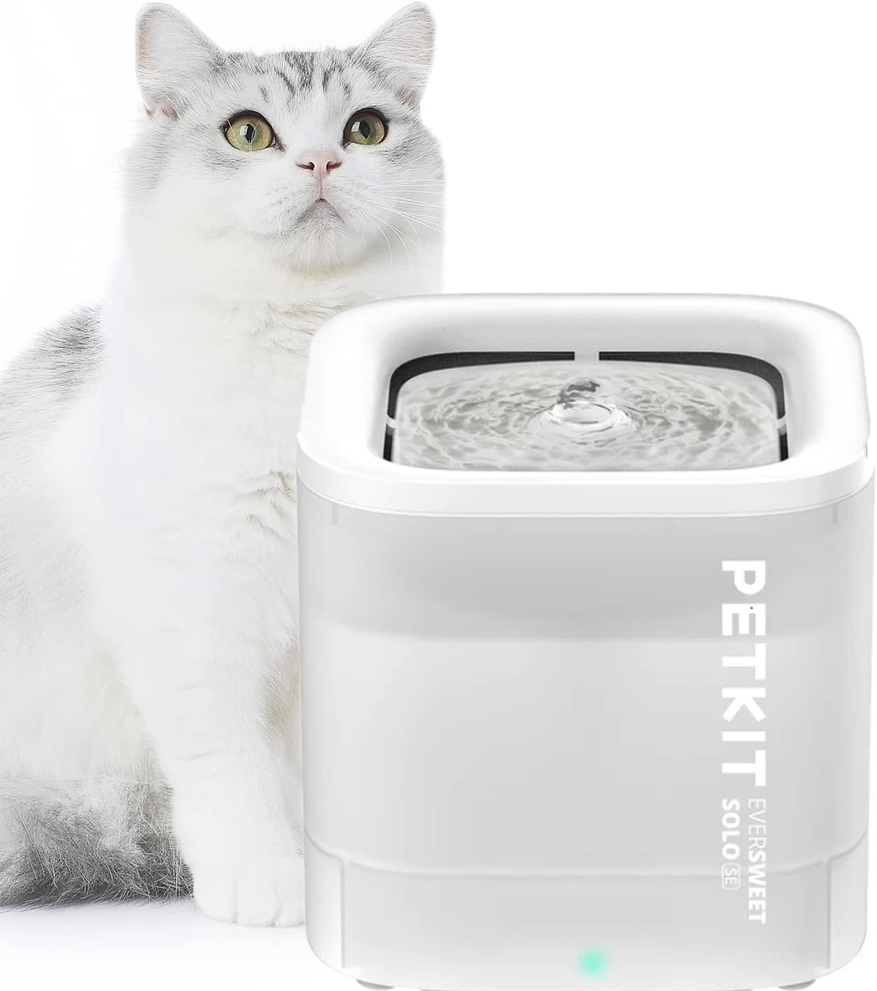 Revisión PETKIT EVERSWEET: Fuente Silenciosa para Gatos