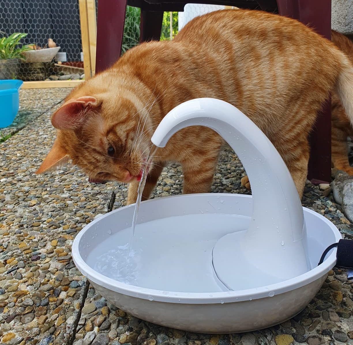 NEOUZA Fuente de agua para gatos sin BPA