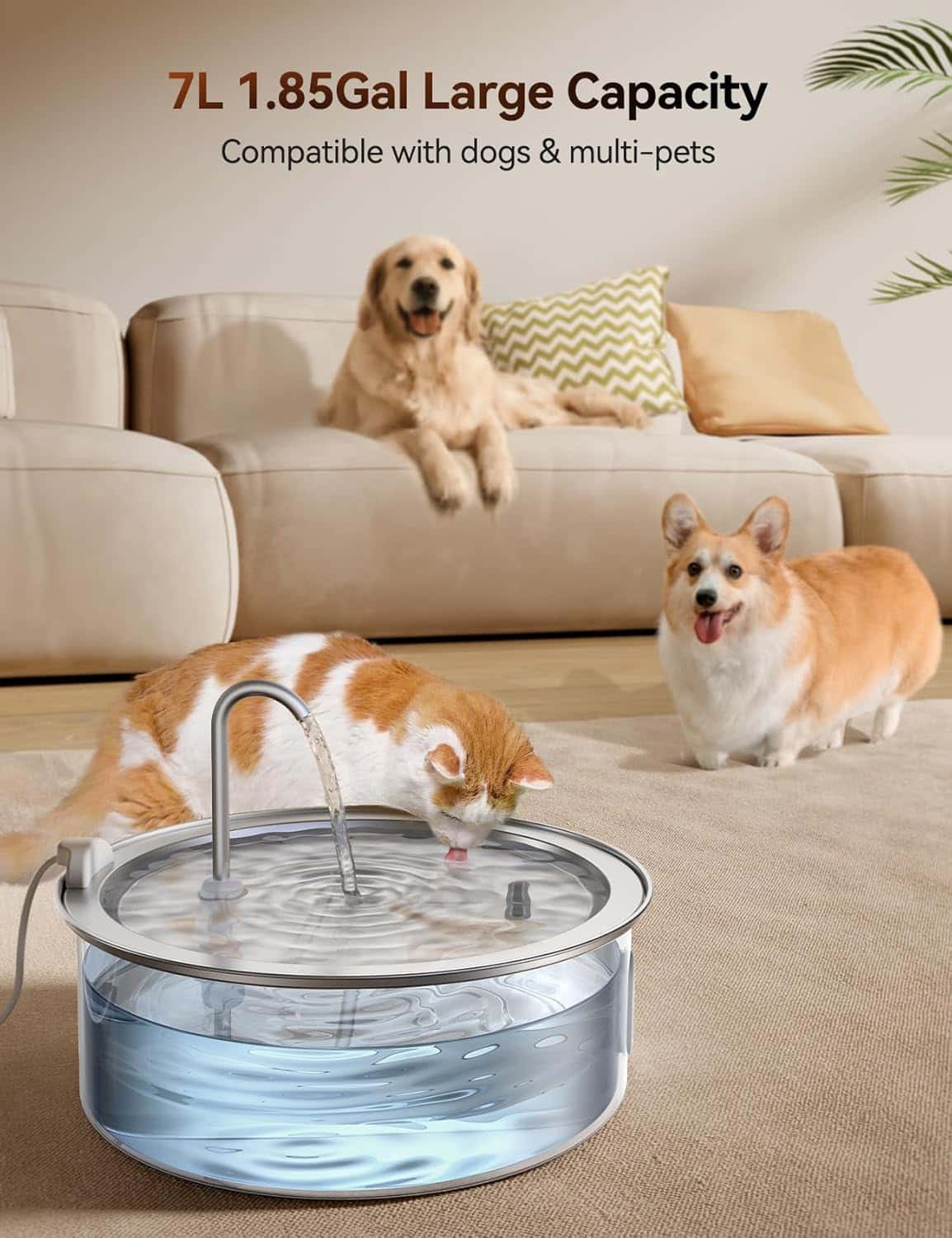 FEELNEEDY 7L Fuente para Gatos y Perros Grandes 🐾💦